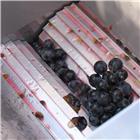 Petit fouloir à raisin et fruits manuel inox trémie de 43x37 cm